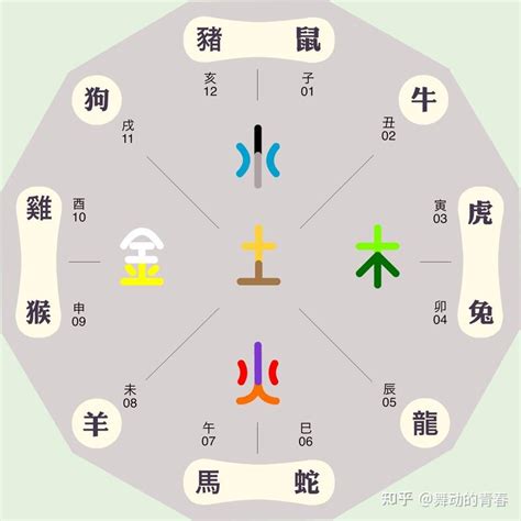 屬火的生肖|五行屬火的生肖有哪些